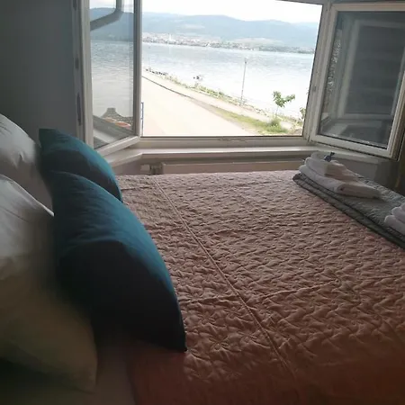 Kod Dzimija